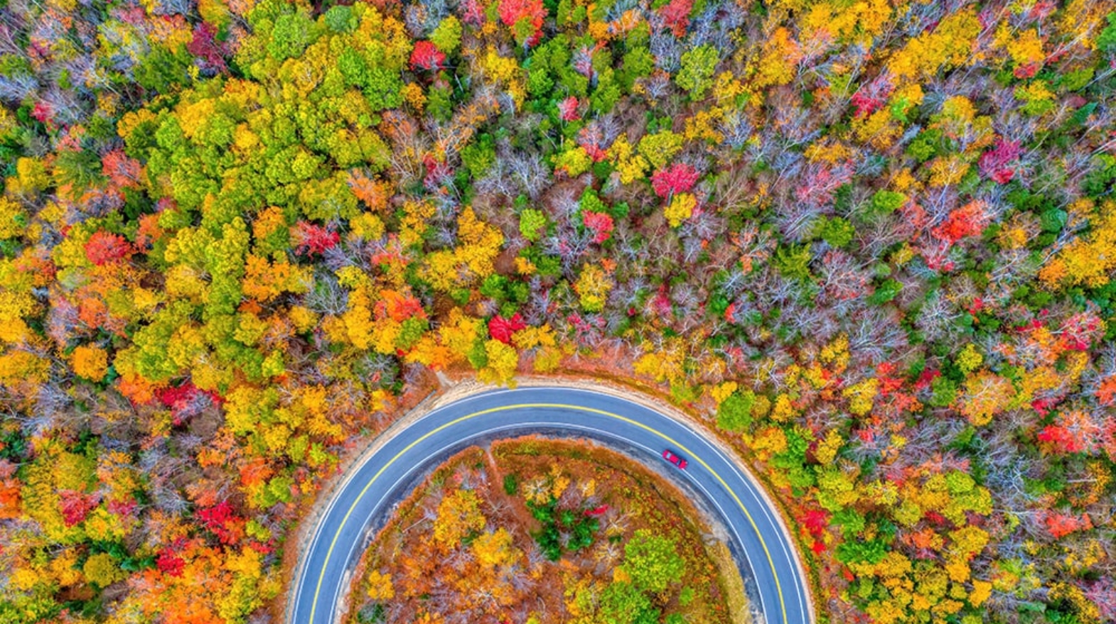 Maine Aerial Shot