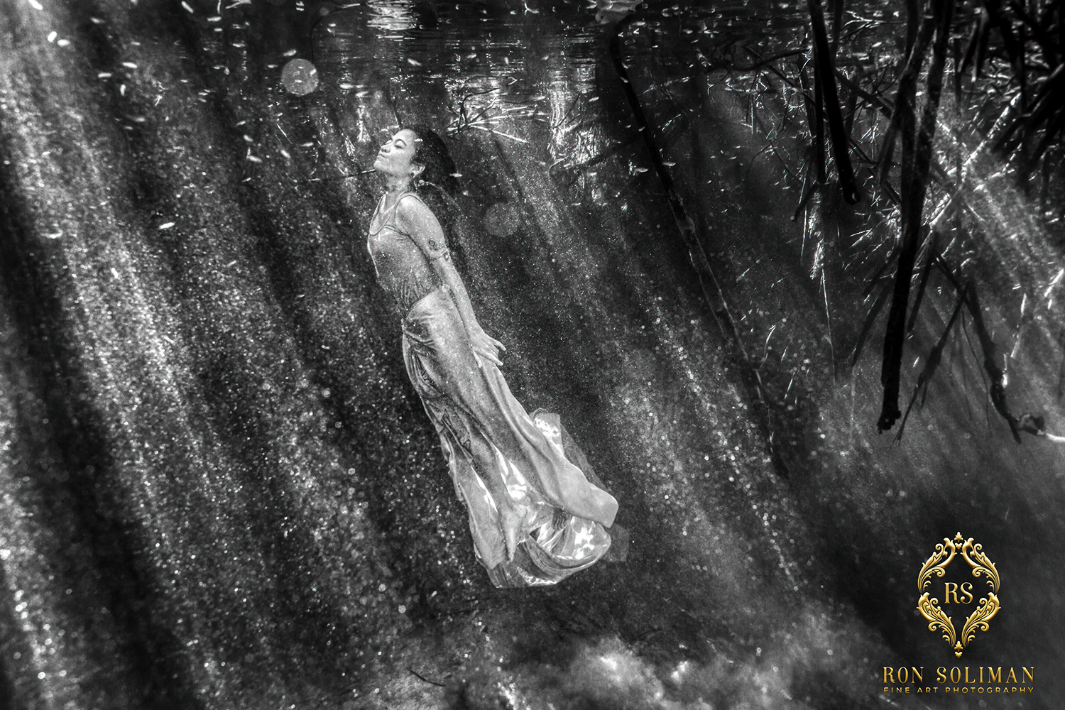 Mexican Cenotes Underwater Photography 2 Mexican Cenotes Underwater Photography