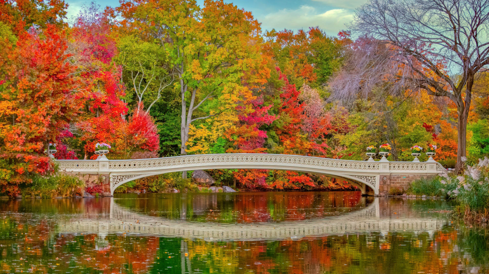 Autumn Colors in New York