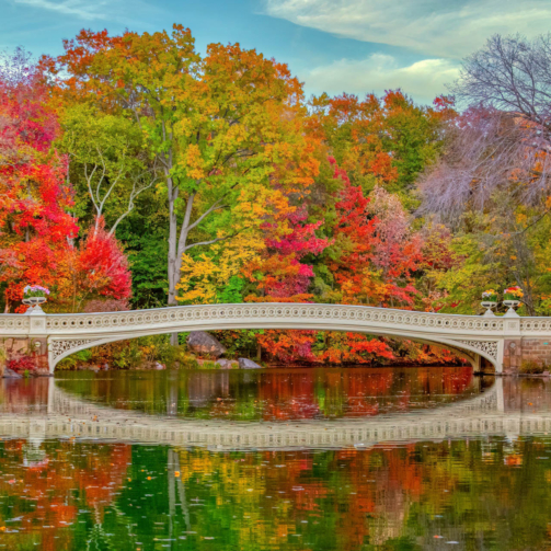 Autumn Colors in New York