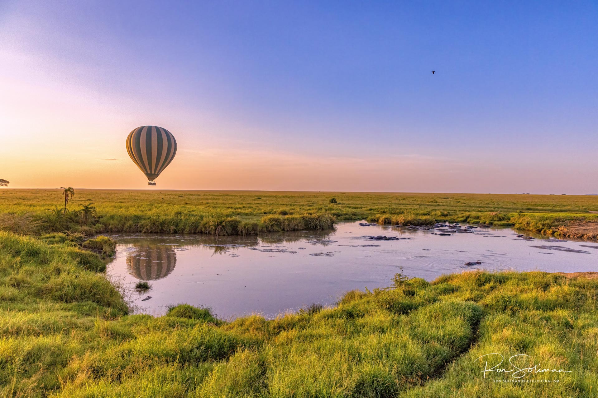 Best Wildlife photography Ballon Safari