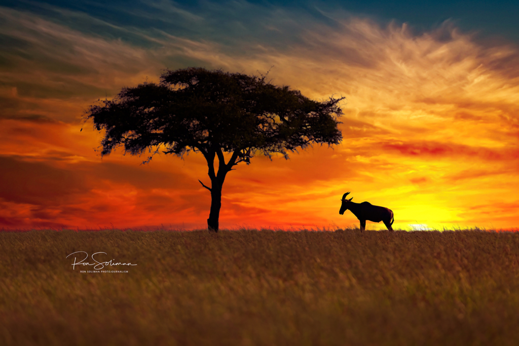Tanzania Sunset