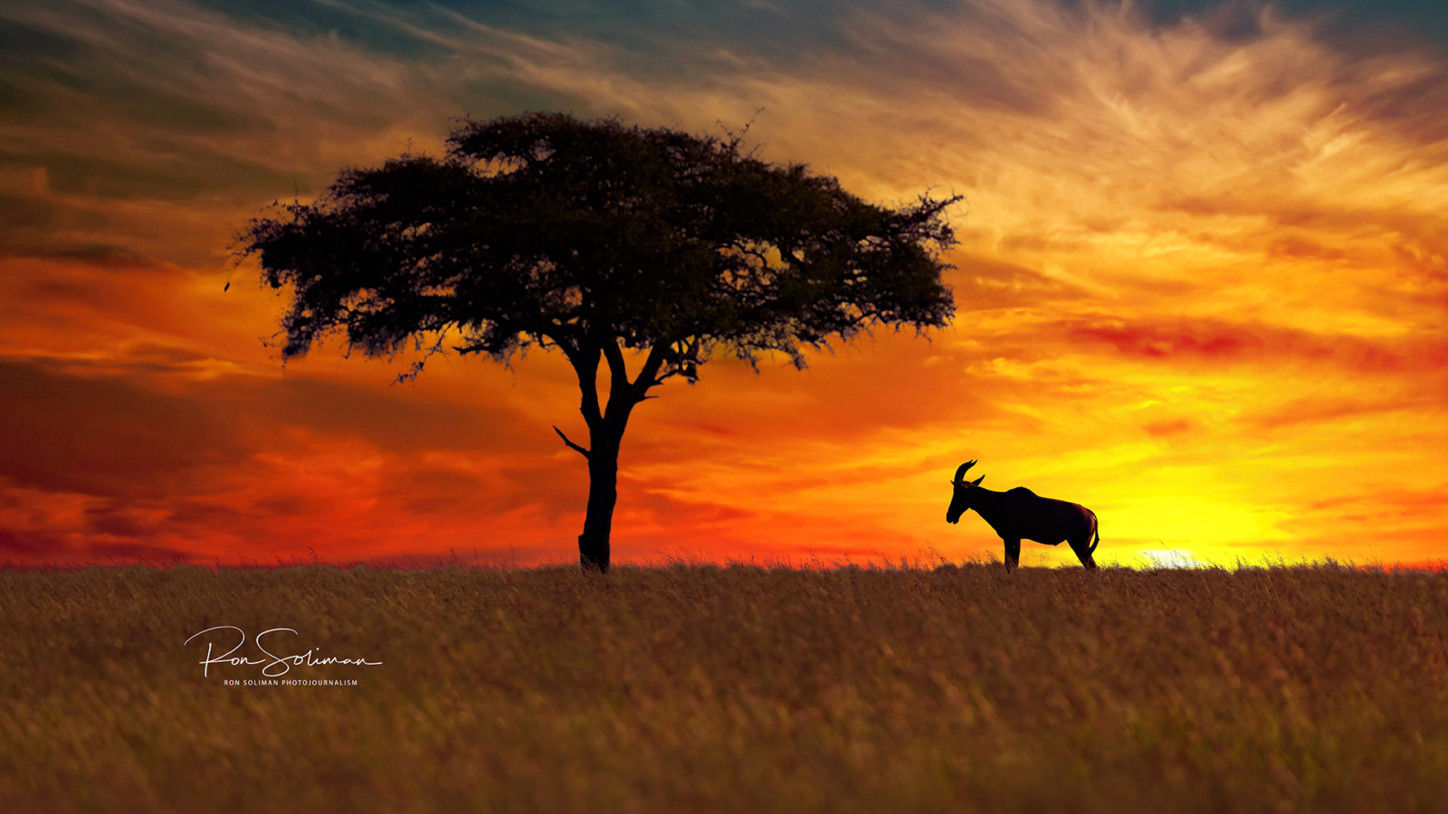 Tanzania Sunset