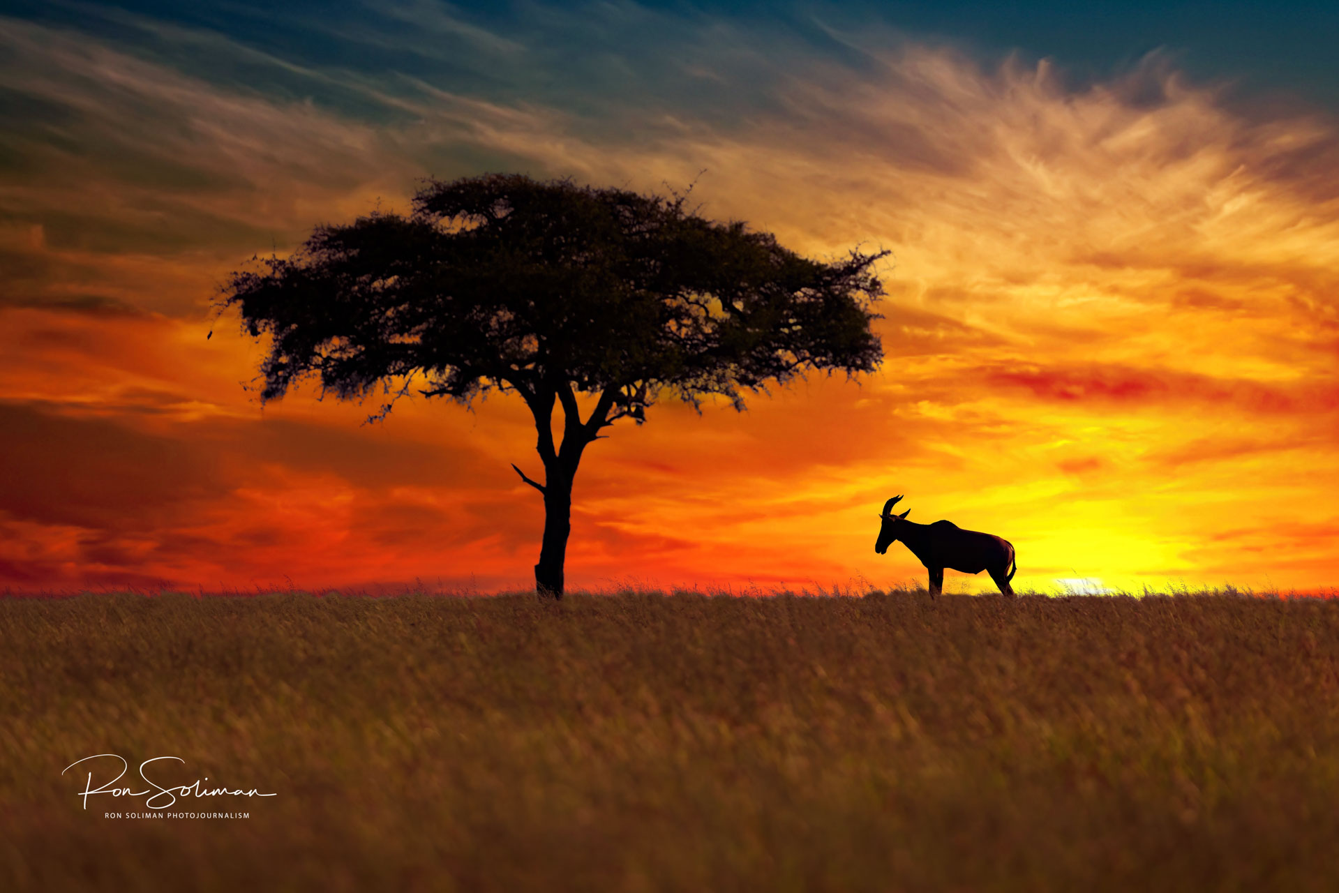 Tanzania sunset - Best Earth Day photos