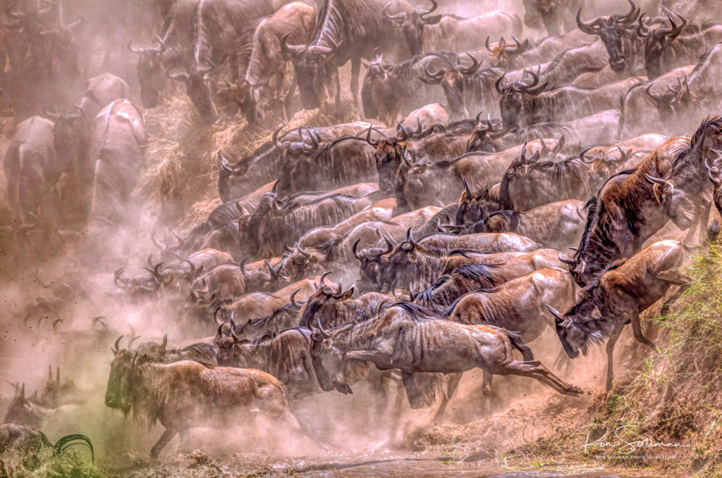 Great Migration Africa - Best Earth Day photos