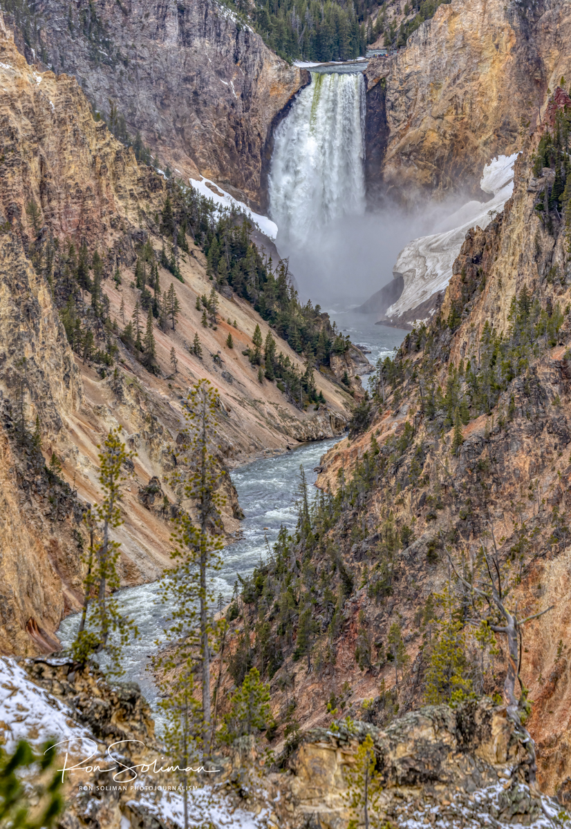 Grand Canyon of Yellowstone