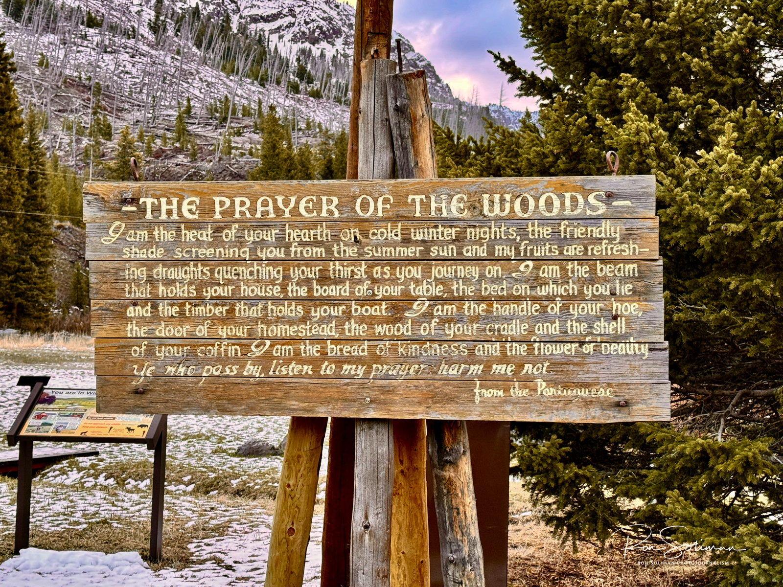 Yellowstone National Park prayer of the woods