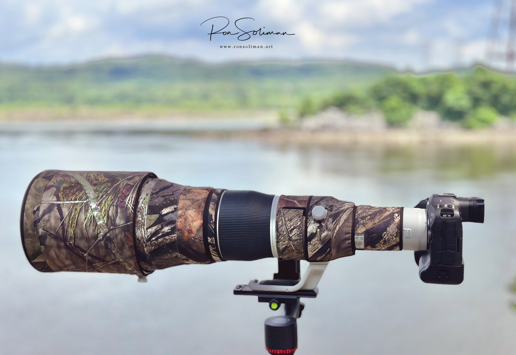 Best lens for wildlife photography