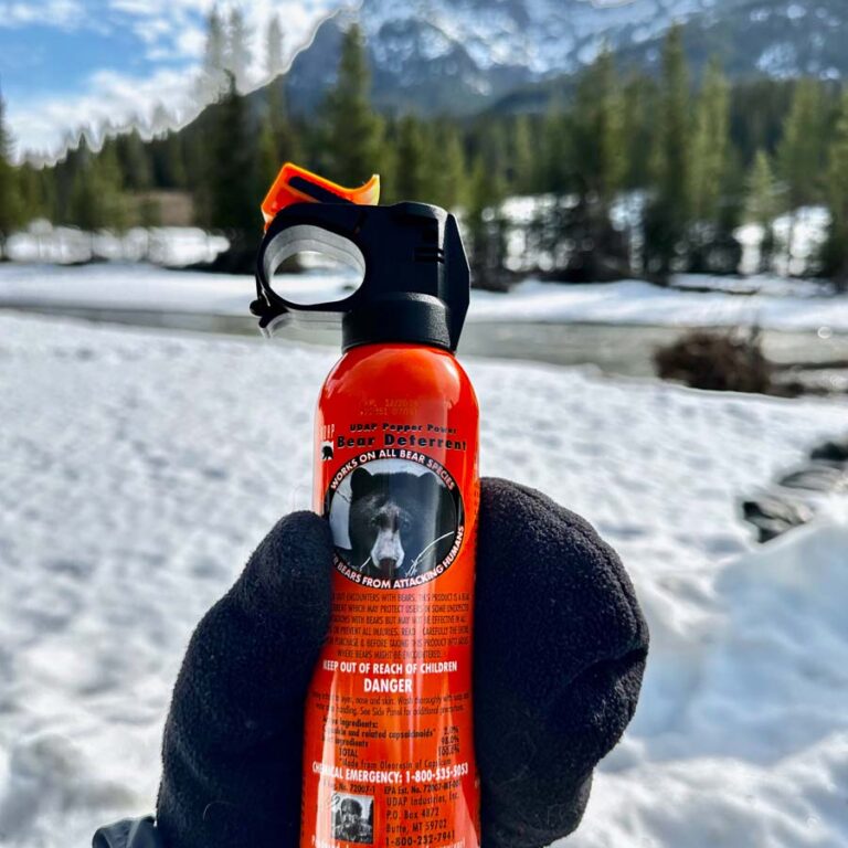 Yellowstone Bear spray