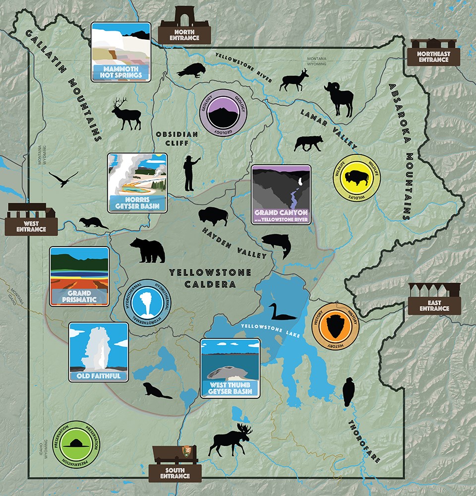 YELLOWSTONE NATIONAL PARK WILDLIFE
